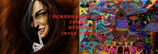 гидропоника Абдулино