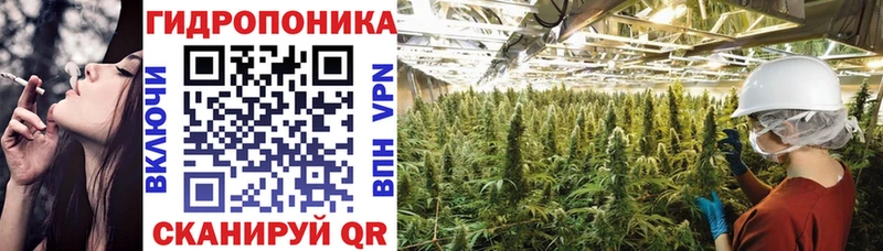 Канабис планчик  что такое наркотик  Саранск 